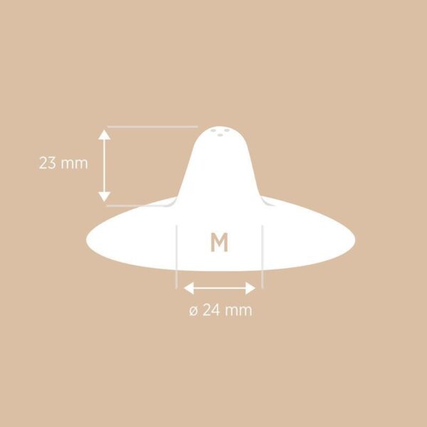 Stillhütchen - Naturkautschuk / Medium / 2er Pack – Bild 3