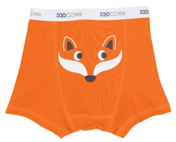 Boxershorts 3er Set Boys aus Bio-Baumwolle (5-6 J.) - Orange Multi – Bild 2