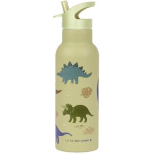 Trinkflasche 500 ml - Edelstahl / Dinosaurier