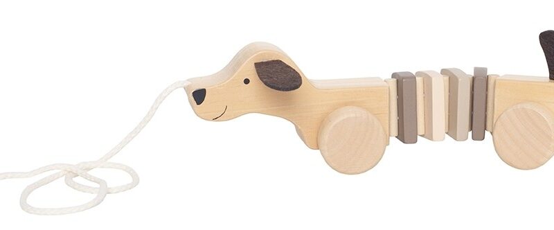 Nachziehtier Hund (FSC)